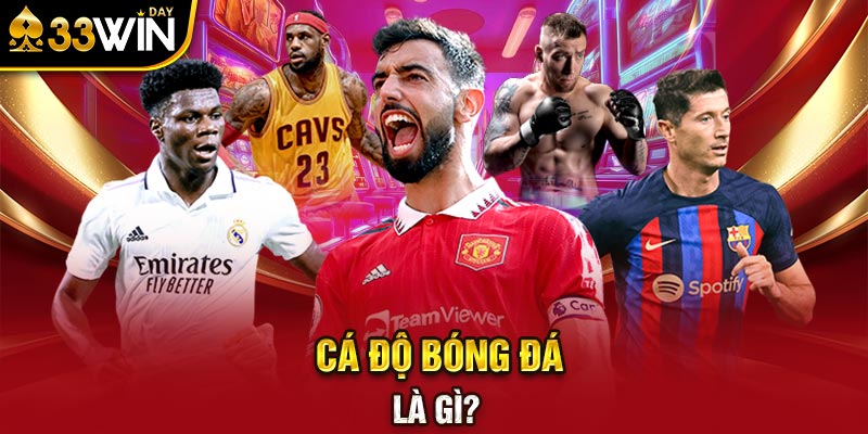 Cá độ bóng đá là gì?