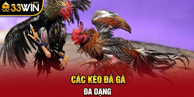 Các kèo đá gà đa dạng