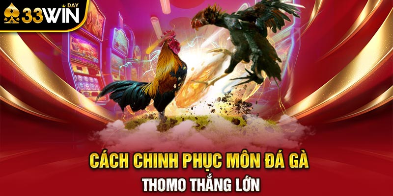 Cách Chinh Phục Môn Đá Gà Thomo Thắng Lớn