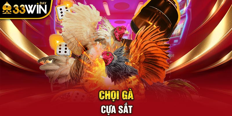 Chọi gà cựa sắt