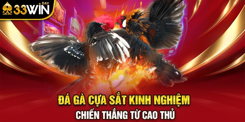 Đá gà cựa sắt kinh nghiệm chiến thắng từ cao thủ