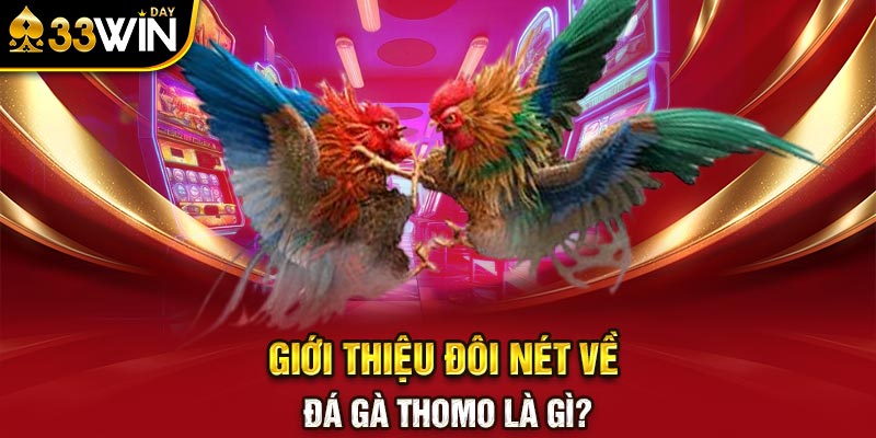 Giới thiệu đôi nét về đá gà thomo là gì?