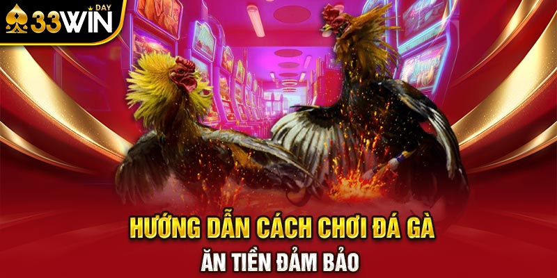 Hướng dẫn cách chơi Đá gà ăn tiền đảm bảo