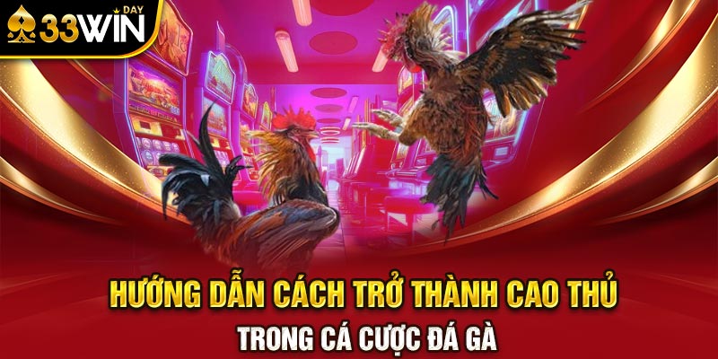 Hướng dẫn cách trở thành cao thủ trong cá cược đá gà