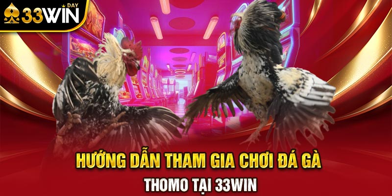 Hướng dẫn tham gia chơi đá gà Thomo tại 33WIN