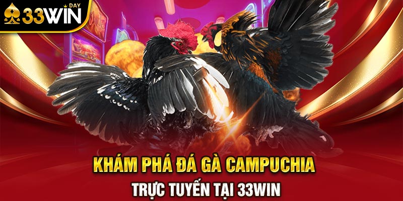 Khám phá đá gà campuchia trực tuyến tại 33WIN