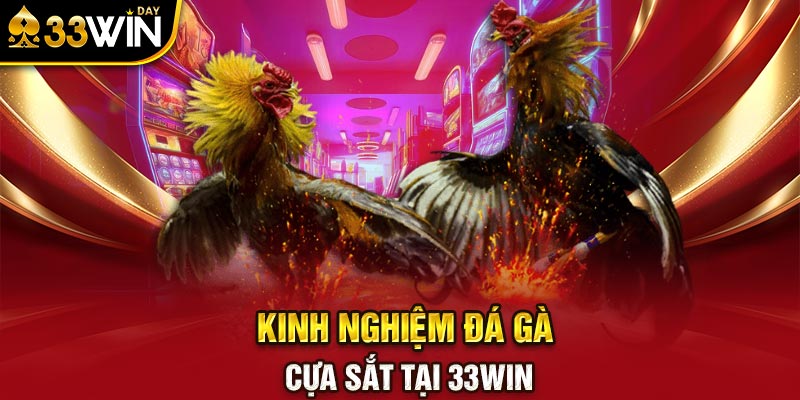 Kinh nghiệm đá gà cựa sắt tại 33WIN