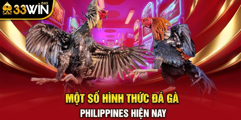 Một số hình thức đá gà Philippines hiện nay