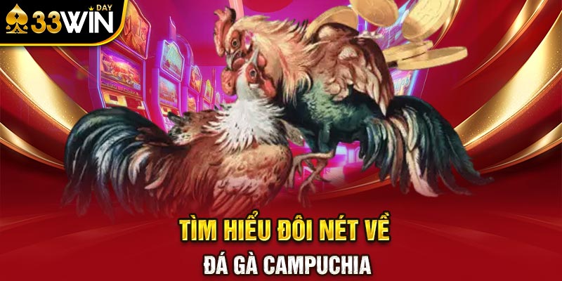 Tìm hiểu đôi nét về đá gà Campuchia