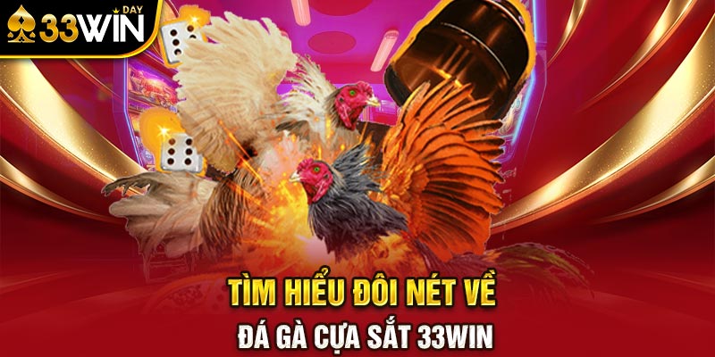 Tìm hiểu đôi nét về đá gà cựa sắt 33WIN