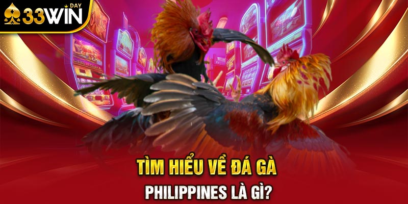 Tìm hiểu về đá gà Philippines là gì?