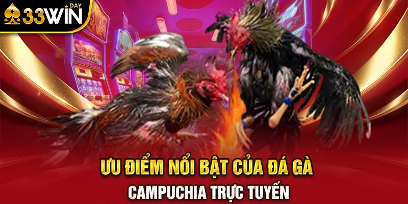 Ưu điểm nổi bật của đá gà Campuchia trực tuyến